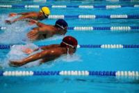 Schwimmen Race